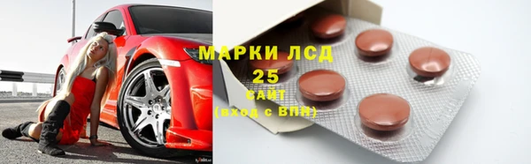 стаф Алексин