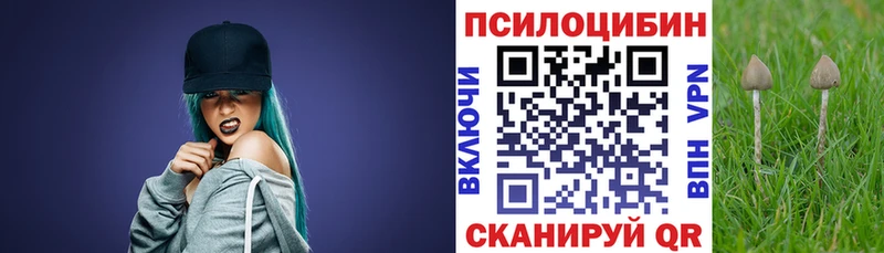 Галлюциногенные грибы Cubensis Иваново